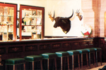 Bar at Laxmi Niwas Palace Bikaner